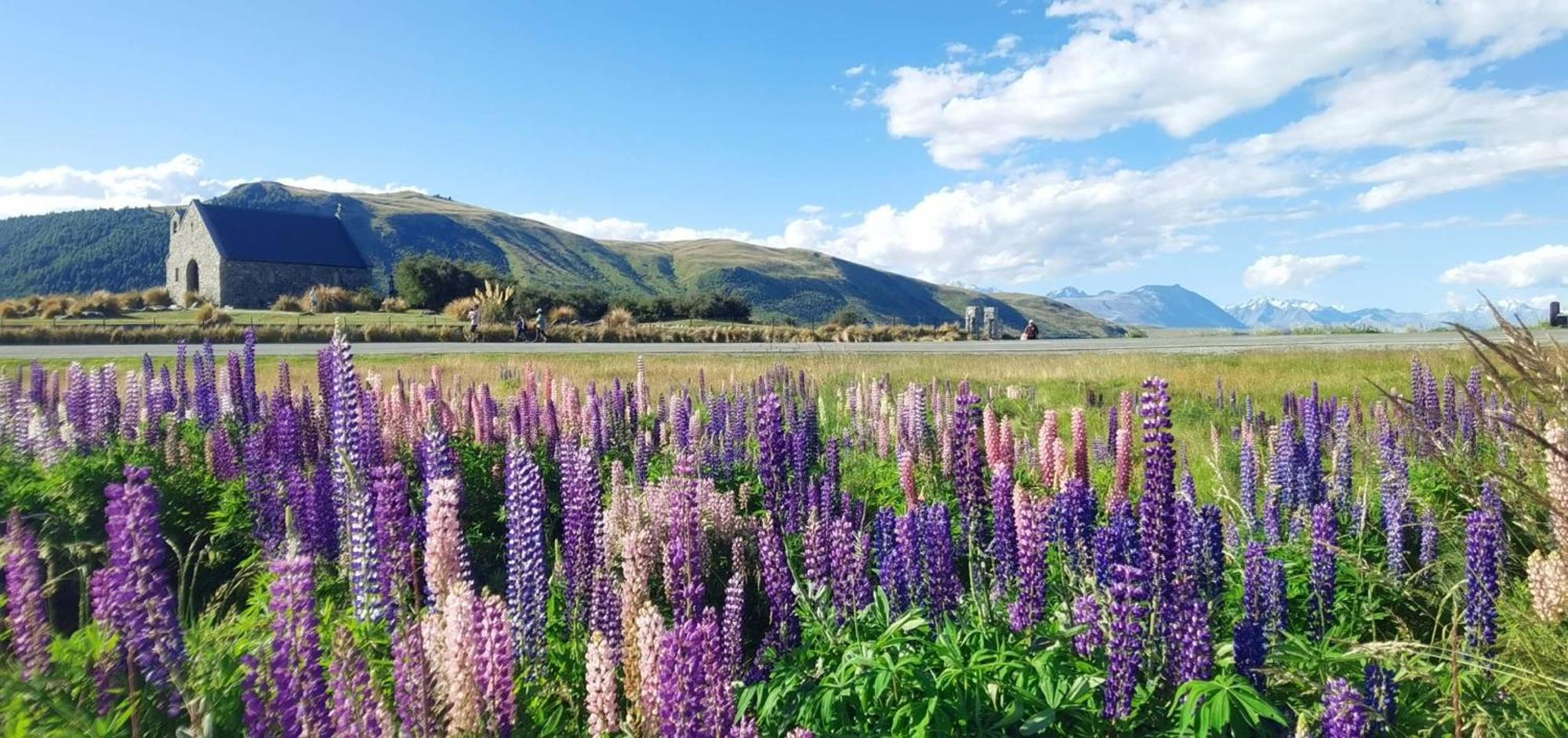 37 Galaxy C Studio Lake Tekapo Bagian luar foto