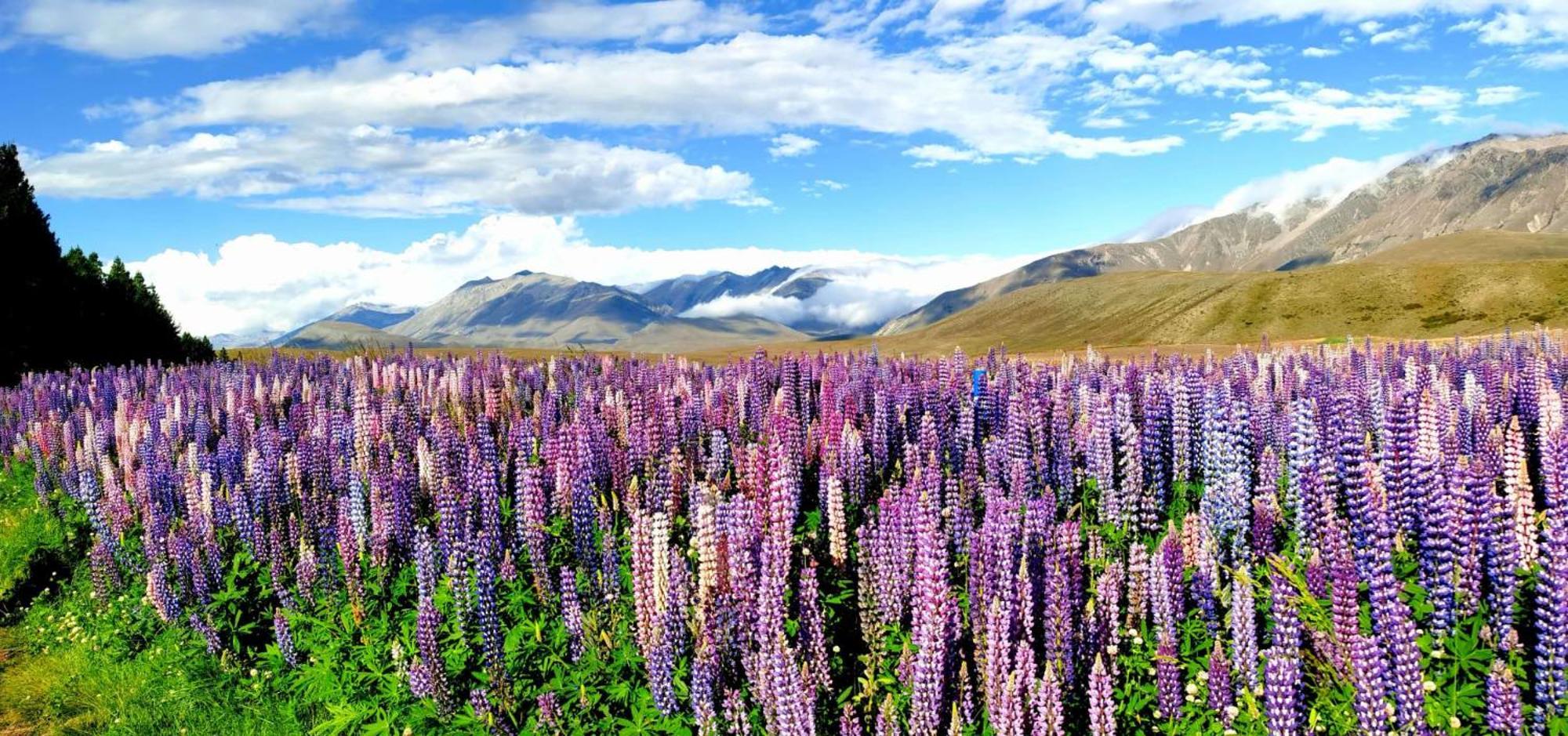 37 Galaxy C Studio Lake Tekapo Bagian luar foto